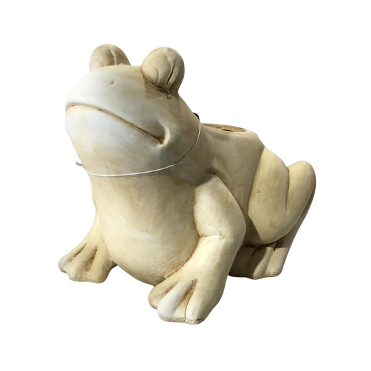 Frog Planter