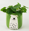 Colourful Animal Planters