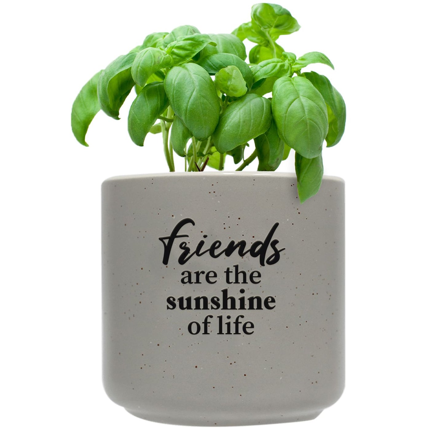 Positive Pots