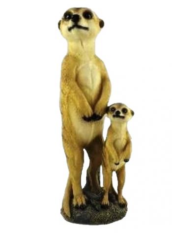 Meerkat Father & Son