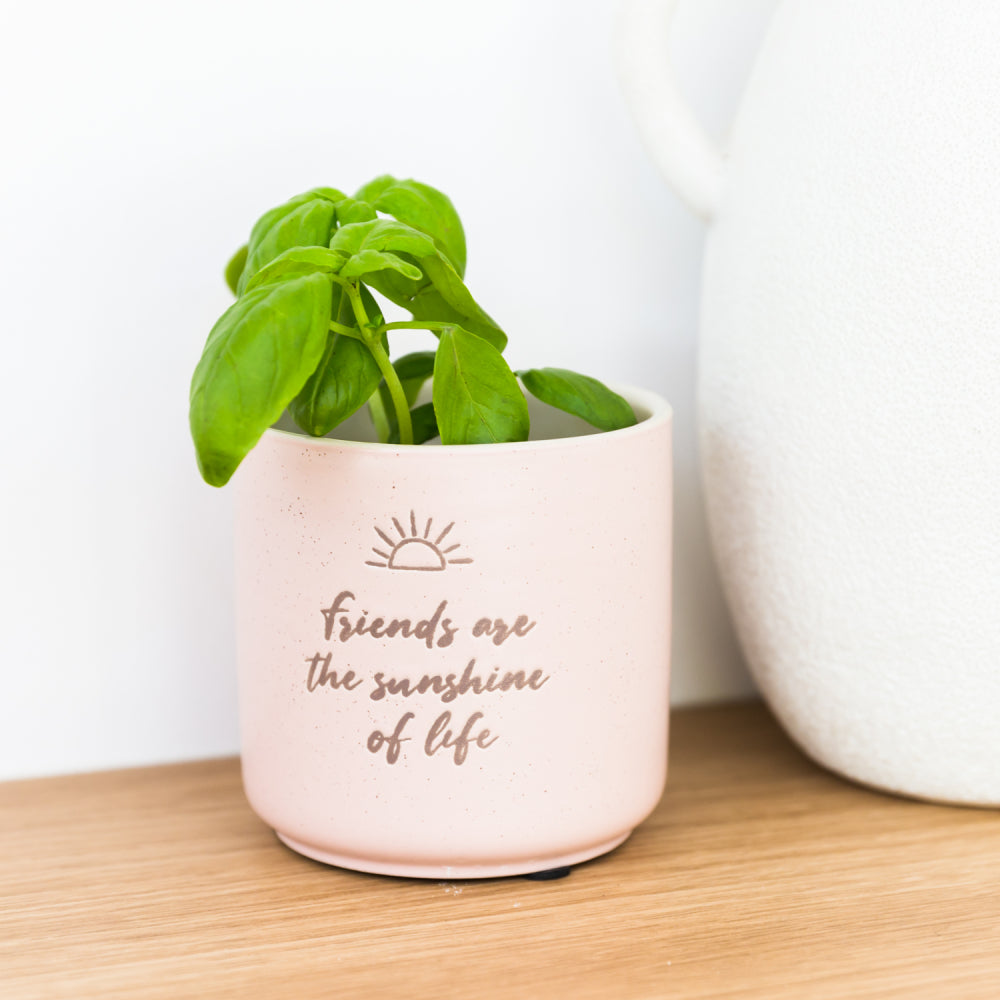 Positive Pots