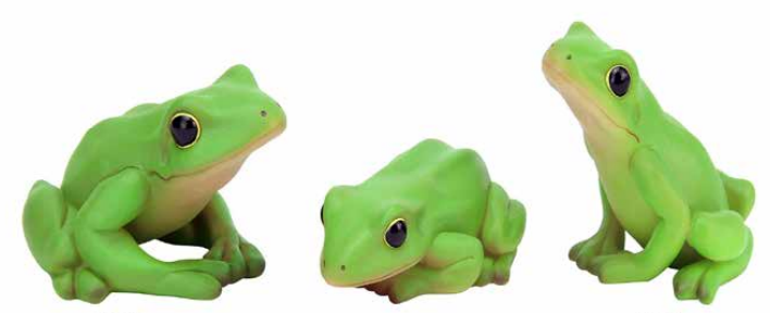 Realistic Frogs