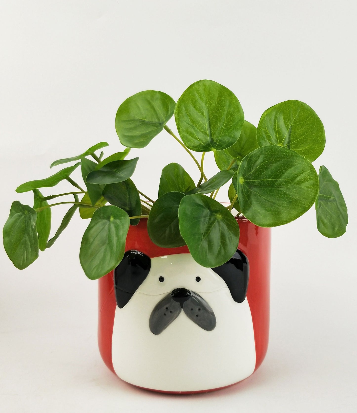 Colourful Animal Planters