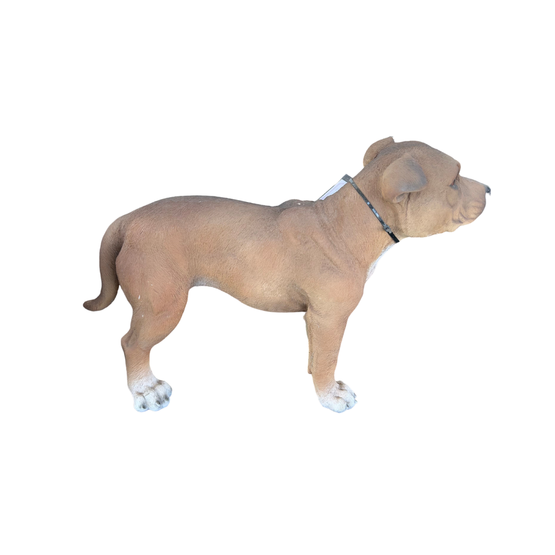 Staffordshire Bull Terrier