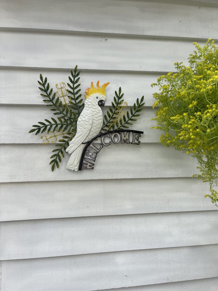 White Cockatoo with Banksia Welcome