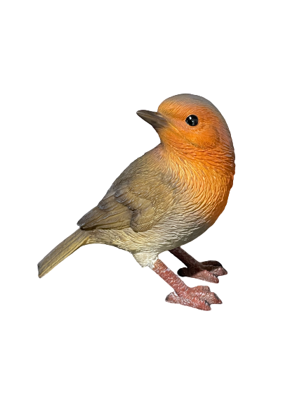 Standing Orange Robin