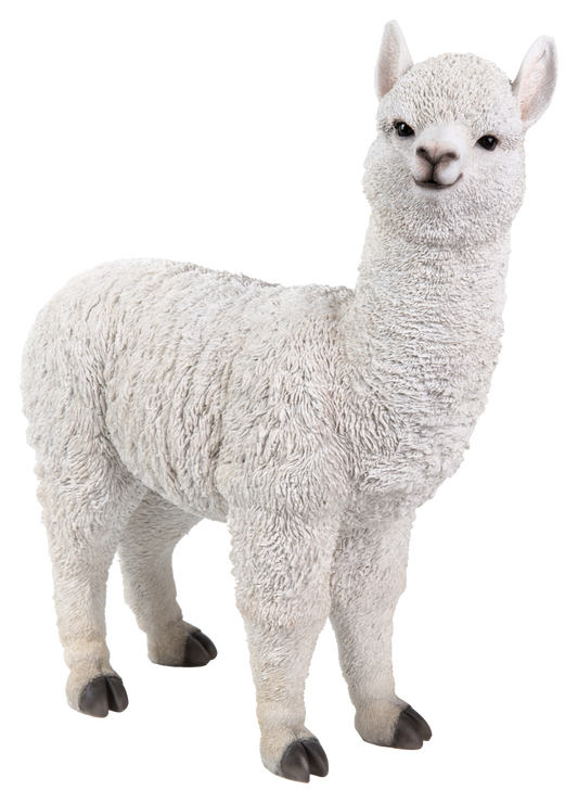 Standing Alpaca Statue