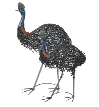 Cassowary