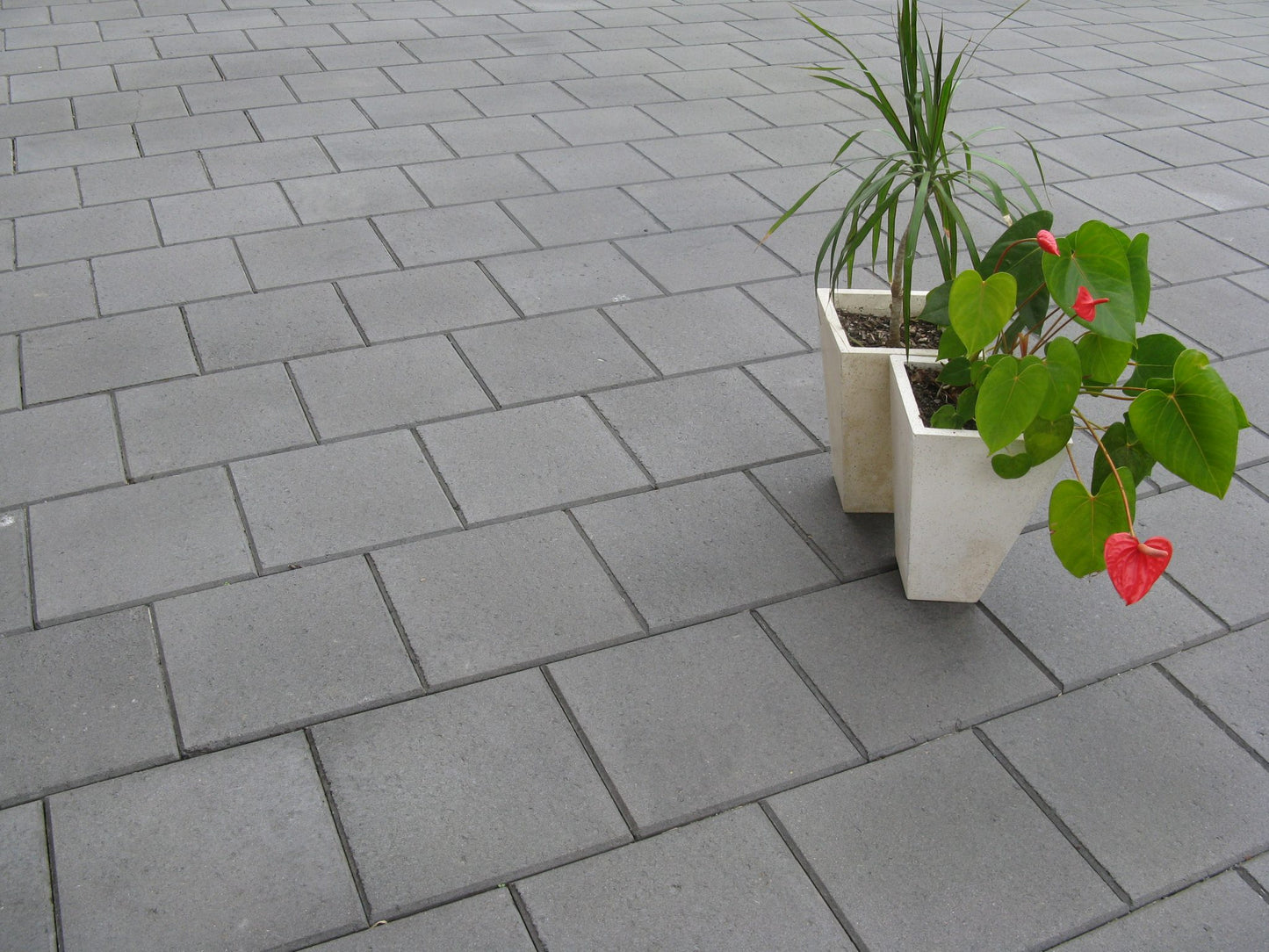 CentroPAVE Pavers