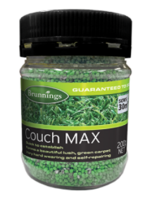 COUCH MAX LAWN SEED