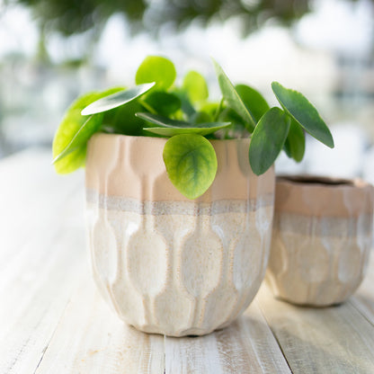 Desert Dunes Planters