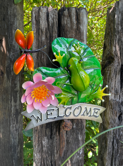 Frog on Lilly Welcome