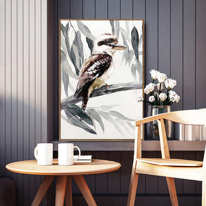 Kookaburra Framed Canvas