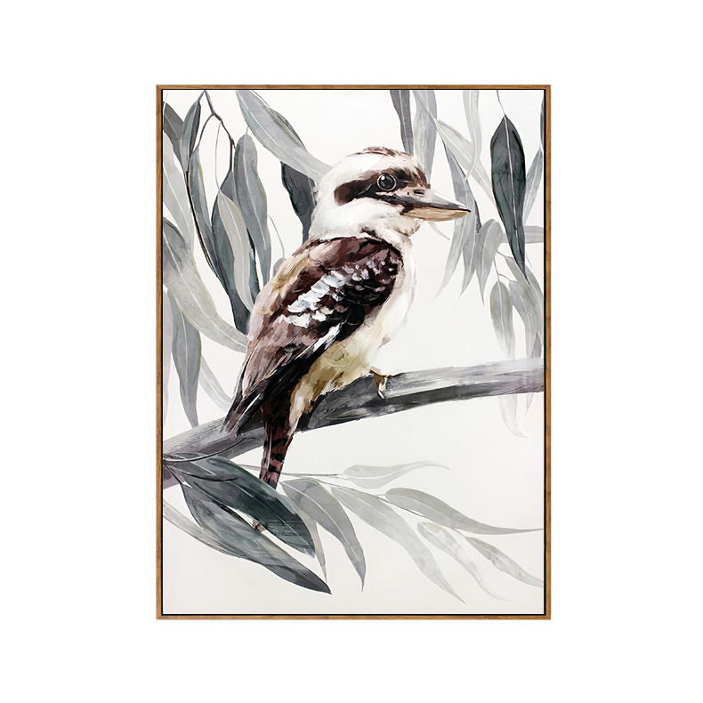 Kookaburra Framed Canvas