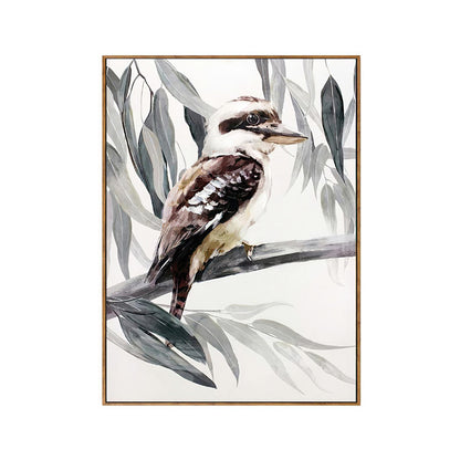 Kookaburra Framed Canvas