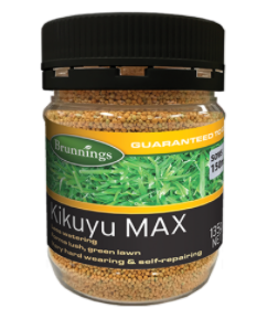 Kikuyu Max Lawn Seed