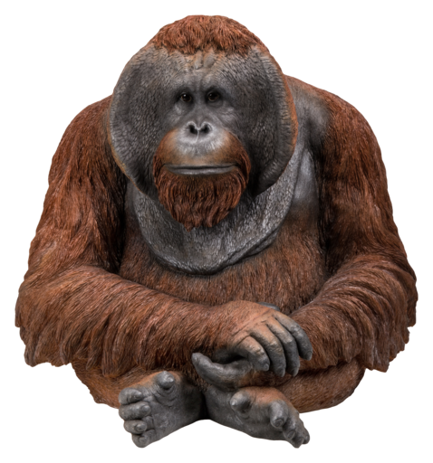 Orangutan Statue