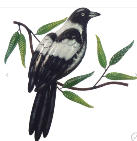 Magpie on Branch