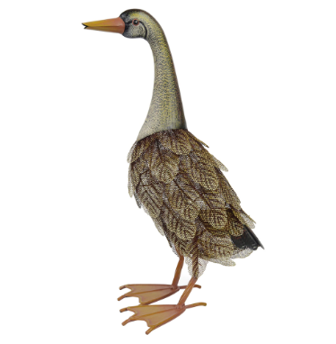 Duck Female