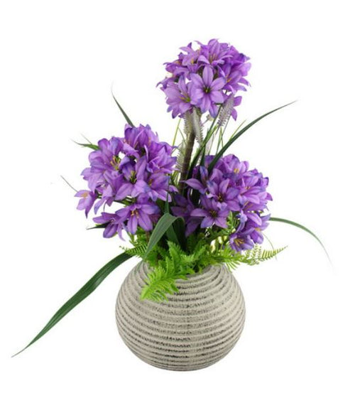 Plant in Vase 50cm