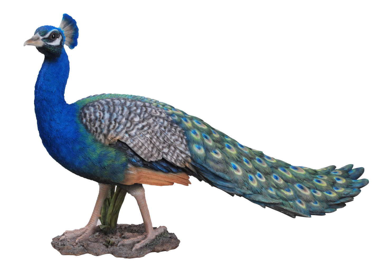 Long Tail Peacock Statue