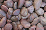 Polished Red Pebbles