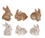 Small Rabbits