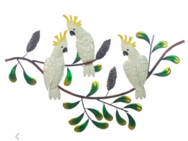 Cockatoo Trio on Banksia