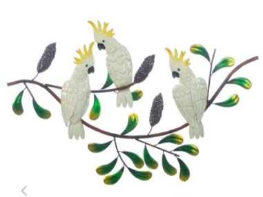 Trio on Banksia Cockatoo