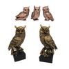 Bronze Owls