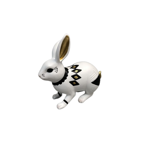 White and Black Bunny