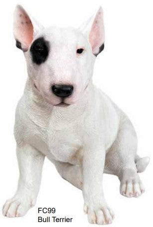 Bull Terrier