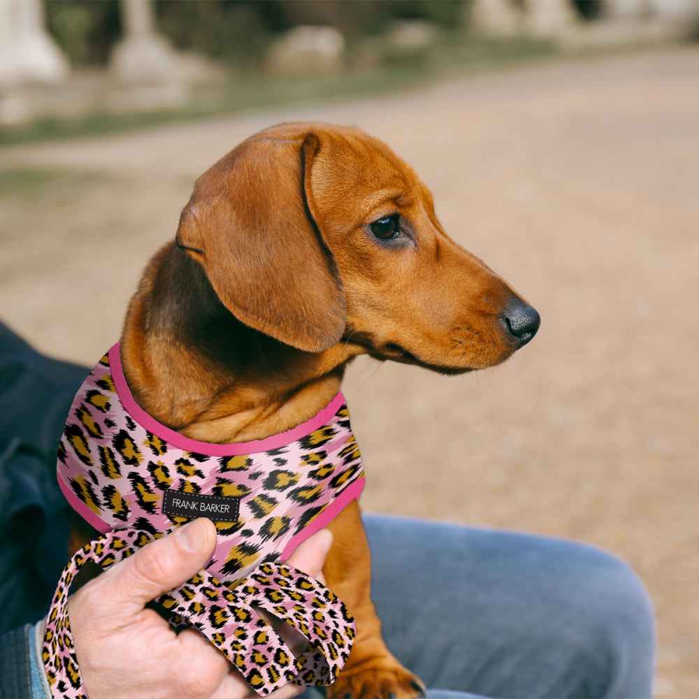 Frank Barker Dog Harness