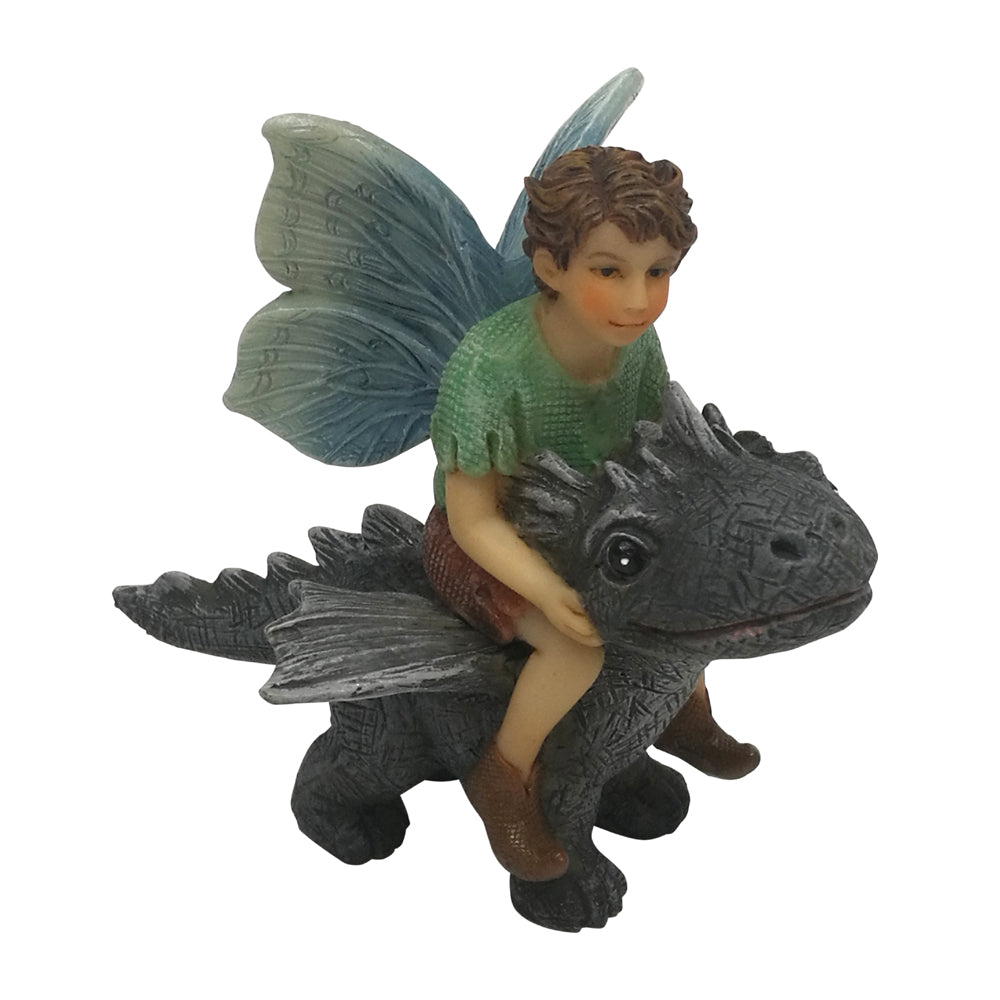 Fairy Draco With Dragon