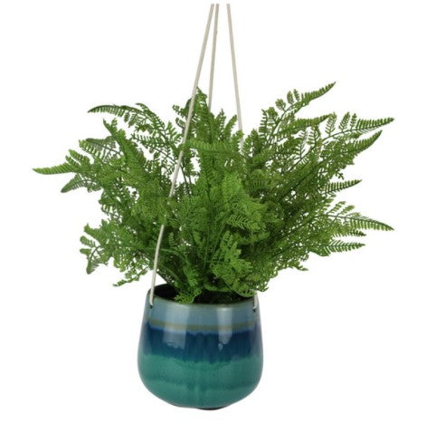 Hanging Fern In Turquoise Pot
