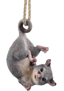 Hanging Ringtail Possum