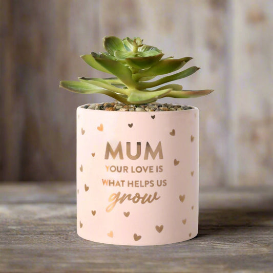 Mother's Day Pot Plant