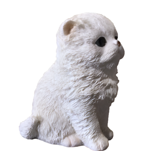 White Kitten