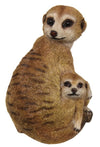 Mother and baby Meerkat on lookout