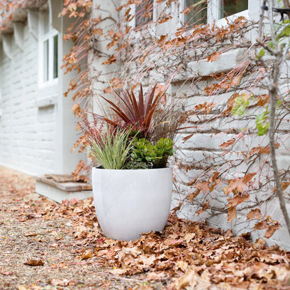 Memphis Egg Pot