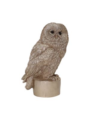 Natural Oasis Owl Statue