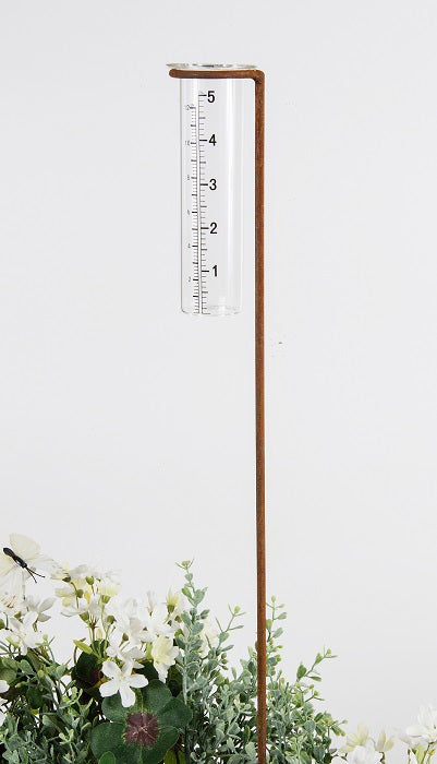 Rain Gauge Large