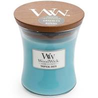 WoodWick Mini Candles