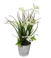 Wild Orchid In White Wash Pot