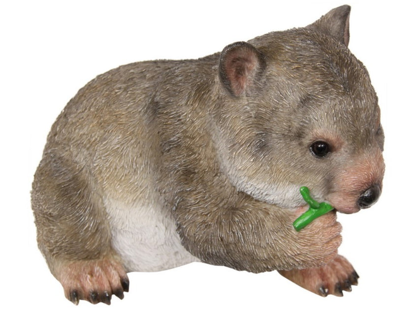 Wombat Eating Leaf